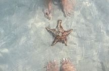 Cayman Ultimate Tour: Stingrays, Starfish Point and Crystal Caves