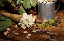 Every Day Cooking Class in Lucca Italy