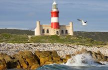 Cape Agulhas Full-Day Private Tour & Wine Tasting from Cape Town
