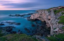 Cape Agulhas Full-Day Private Tour & Wine Tasting from Cape Town