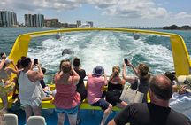 Sea Screamer Clearwater's Only Speed Boat Dolphin Watching