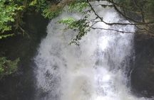 Alaska Wildlife Waterfall Tours