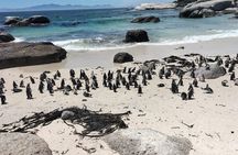 Cape Agulhas Full-Day Private Tour & Wine Tasting from Cape Town