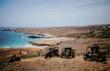 Exclusive Aruba UTV Tours