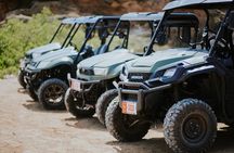 Exclusive Aruba UTV Tours