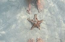 Grand Cayman: Stingray City and Snorkeling with Beach Lunch