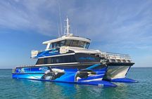 Augusta Whale Watching Eco Tour