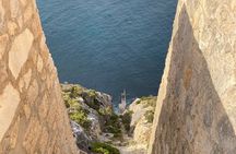 One Day Kangaroo Island Highlights Tour