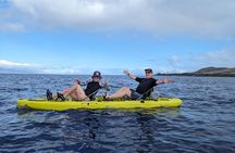Private Scenic and Reef Snorkeling Kayak Adventure in West Maui