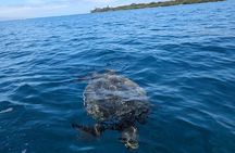 Private Scenic and Reef Snorkeling Kayak Adventure in West Maui