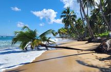 Punta Cana: Amazing ATV Adventure Private Road & Beach W/ PickUp