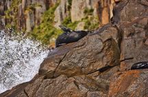 Port Stephens, departing Newcastle - Whales, hike & sand dunes!
