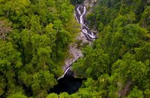 Amazing Daintree Rainforest Tour Waterfall Hike, Lunch, Swim & Crocodile Cruise