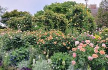 Guided History & Nature Exploration in the Yokohama Hill Area