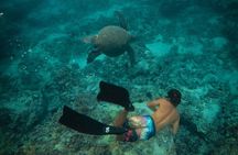Private Boat Cruise of Waikiki! Snorkel, Sightseeing, Sea Life!