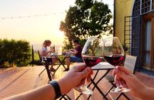 Vinci: Sunset Wine Tasting Dinner in a Tuscan Farm