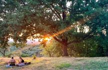 Vinci: Sunset Wine Tasting Dinner in a Tuscan Farm