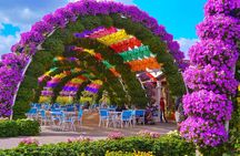 Miracle Garden and Global Village Combo with Private Transport