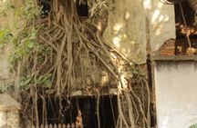 Kolkata - A Sea of Faces and A Thousand Places (local guide)
