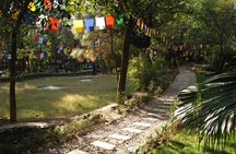 Discover Dharamshala's monasteries for Tibetan spirituality