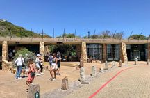 Cape Point and Boulder's Penguins Full Day Tour