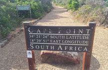 Cape Point and Boulder's Penguins Full Day Tour
