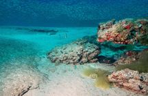 Scuba Diving Experience at Arguineguin and Puerto Rico