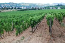 Half Day Tokaj Wine Tasting Tour in Mád Hungary with lunch