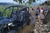 Half Day Tokaj Wine Tasting Tour in Mád Hungary with lunch