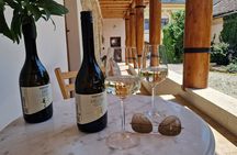 Half Day Tokaj Wine Tasting Tour in Mád Hungary with lunch