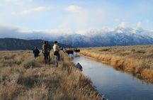 Grand Teton and its Wildlife: Private Guided Tour
