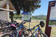 Rethymno Guided eBike Tour to Arkadi Monastery