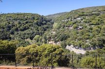 Rethymno Guided eBike Tour to Arkadi Monastery