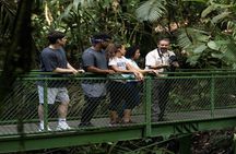 Majestic Arenal Volcano(Boat, Rainforest, Hot Springs) Guanacaste