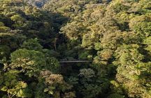 Majestic Arenal Volcano(Boat, Rainforest, Hot Springs) Guanacaste