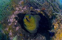 Miami Two Tank Dive Trip