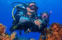 Miami Two Tank Dive Trip