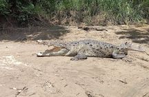 Palo Verde Wetlands Full Experience