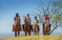 Mega Combo Adventure