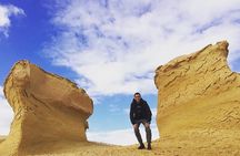 Full Day Fayoum Oasis Private Tour by Jeep from Cairo or Giza