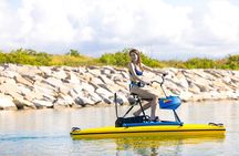 Lagoon & Surf Experience Package at Wai Kai