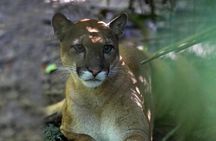 Corcovado National Park - San Pedrillo Station with lunch