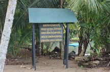 Corcovado National Park - San Pedrillo Station with lunch