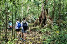 Corcovado National Park - San Pedrillo Station with lunch