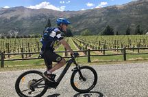 Guided eBike Wine Tour Ride to the Vines