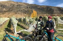 Guided eBike Wine Tour Ride to the Vines