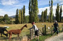 Guided eBike Wine Tour Ride to the Vines