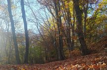 1 Day Chortiatis mt Thessaloniki Hiking Tour with Hotel Pickup