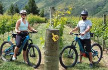 Guided eBike Wine Tour Ride to the Vines