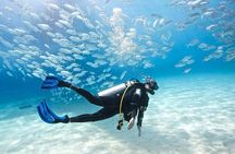 Alanya Scuba Diving With Lunch and Transfer 